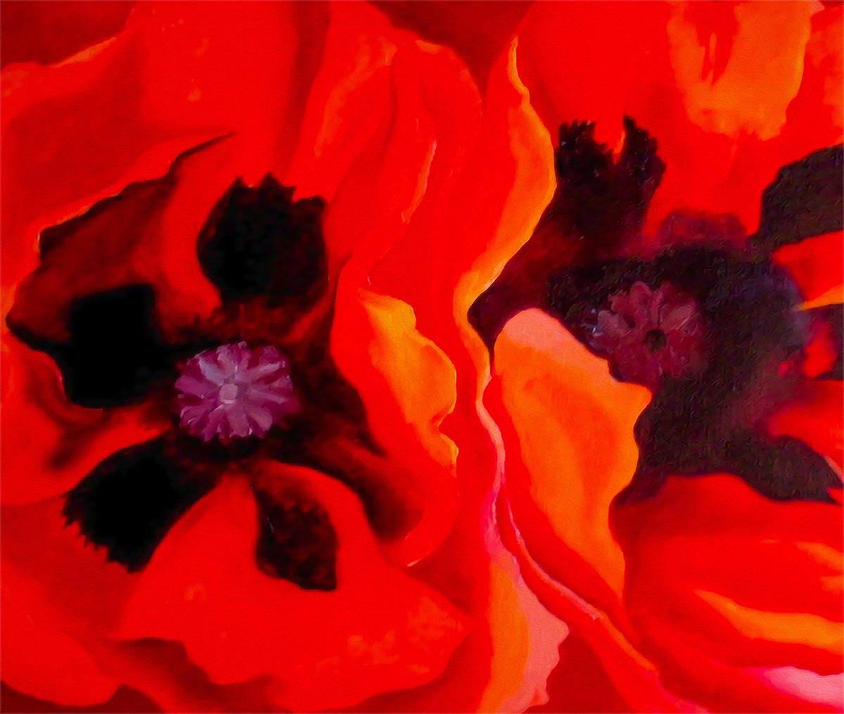 okeeffe