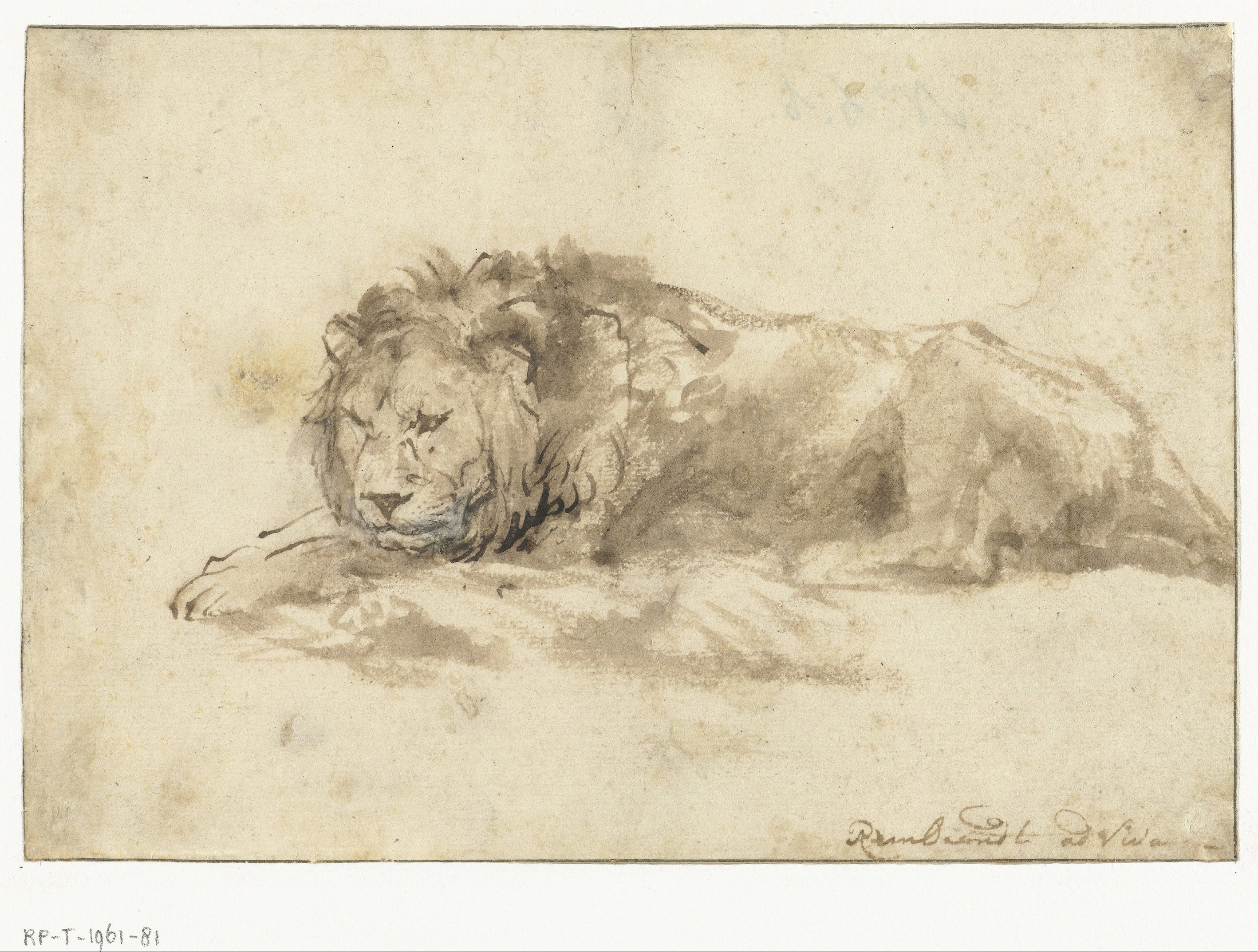 rembrandt