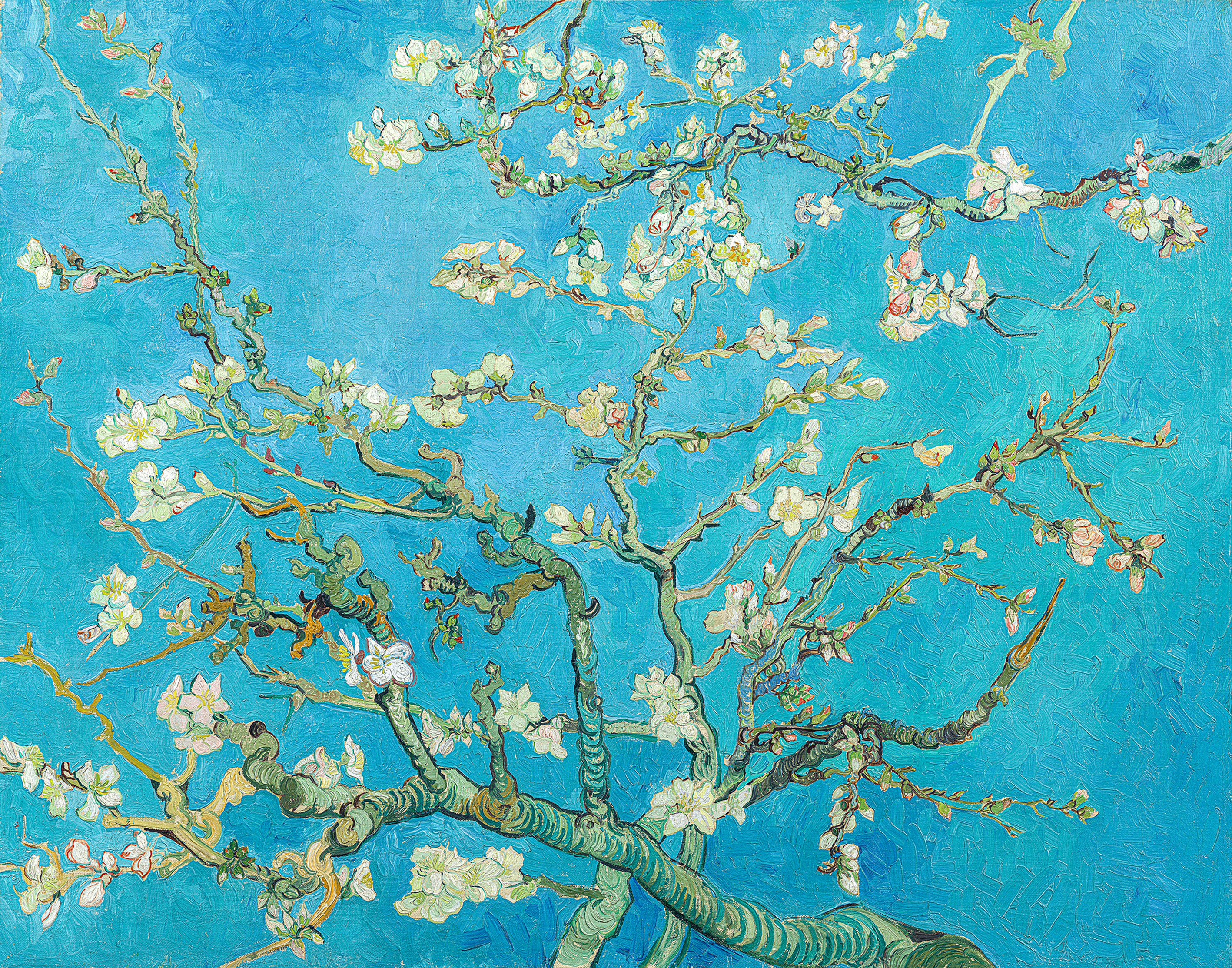 van gogh