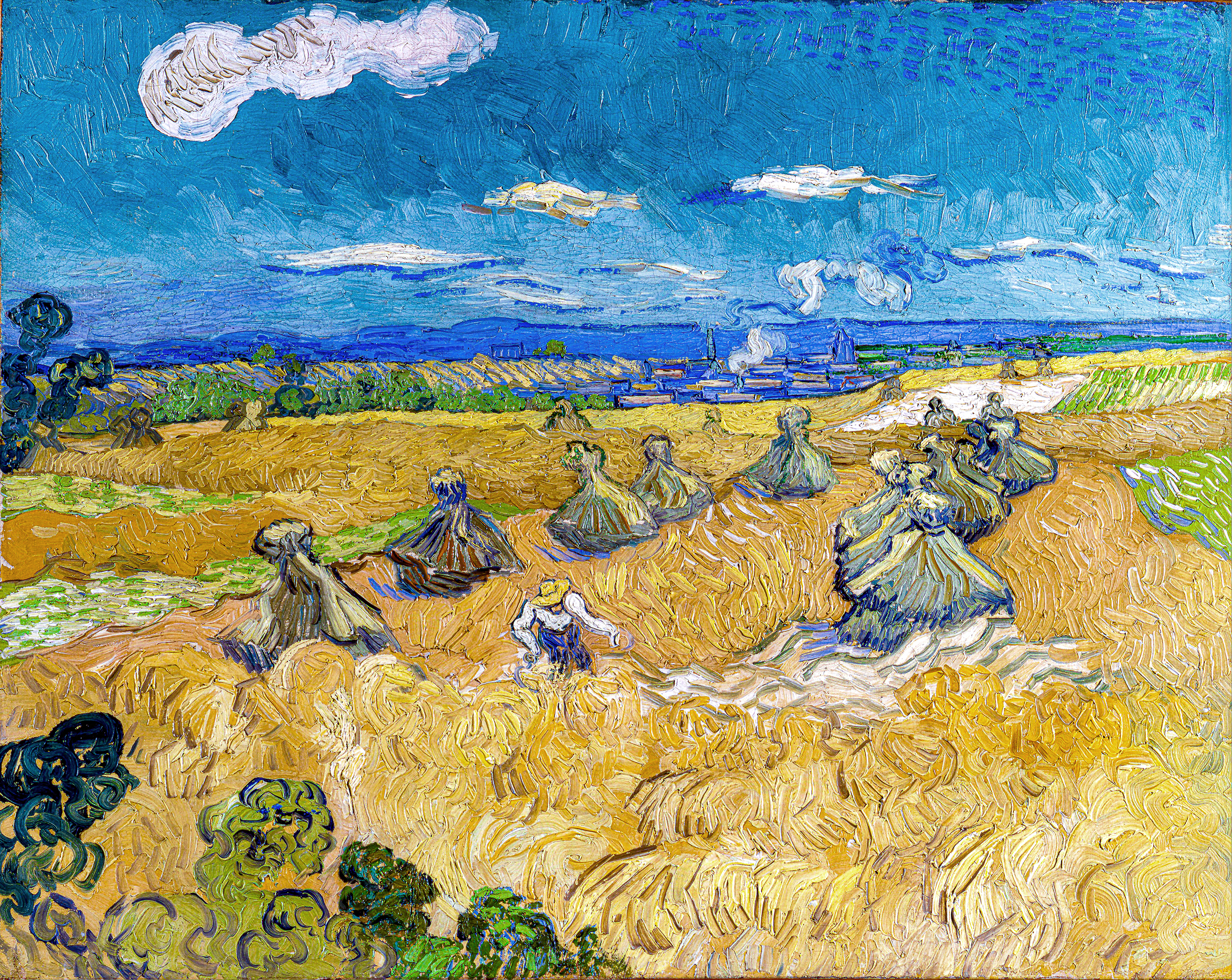 Vincent van gogh
                        suicide
